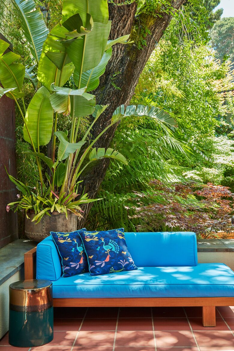 Back Garden
