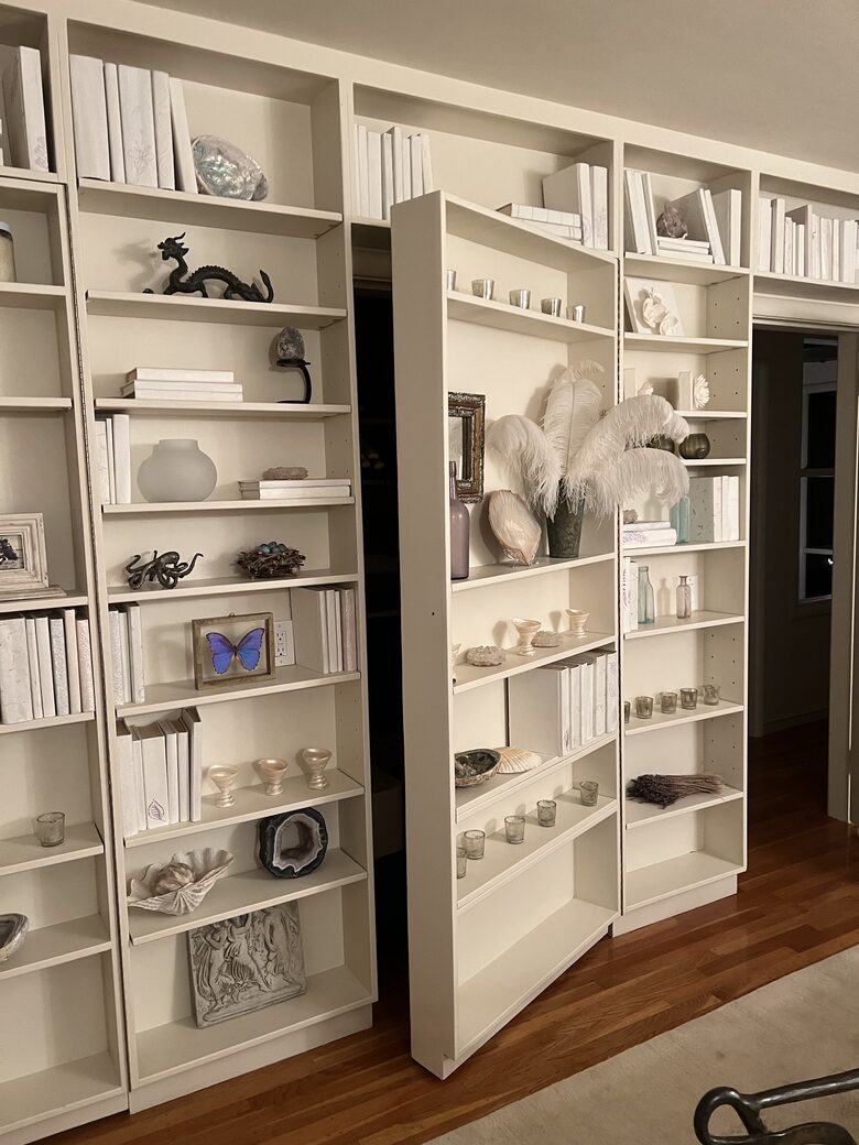 secret closet doors in bookshelves!