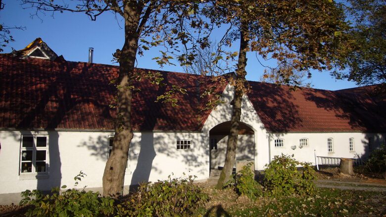 A Real Danish Farm - Nørresundby, Denmark