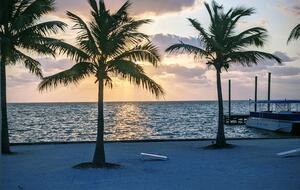 Caye Caulker Beachfront Retreat - Caye Caulker, Belize