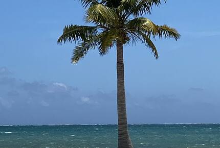 Caye Caulker Beachfront Retreat - Caye Caulker, Belize