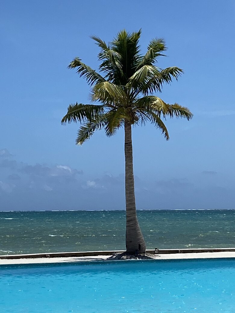 Caye Caulker Beachfront Retreat - Caye Caulker, Belize