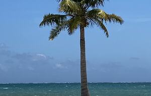 Caye Caulker Beachfront Retreat - Caye Caulker, Belize