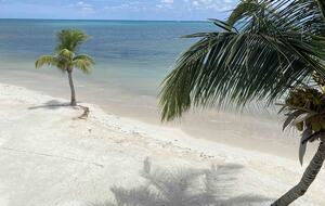 Caye Caulker Beachfront Retreat - Caye Caulker, Belize