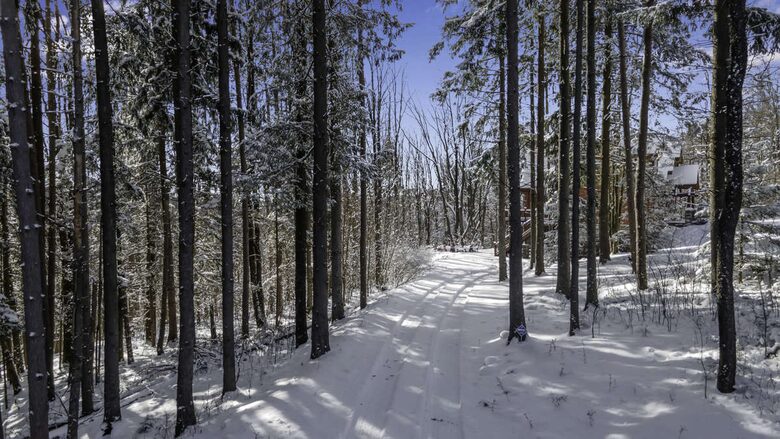 Log Cabin Across from Skiing Resorts - Ellicottville, New York