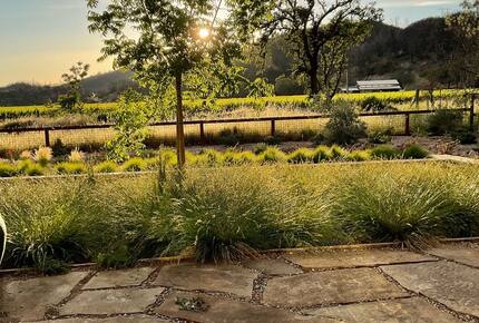 Calistoga - Napa Valley Guesthouse Retreat - Calistoga, California