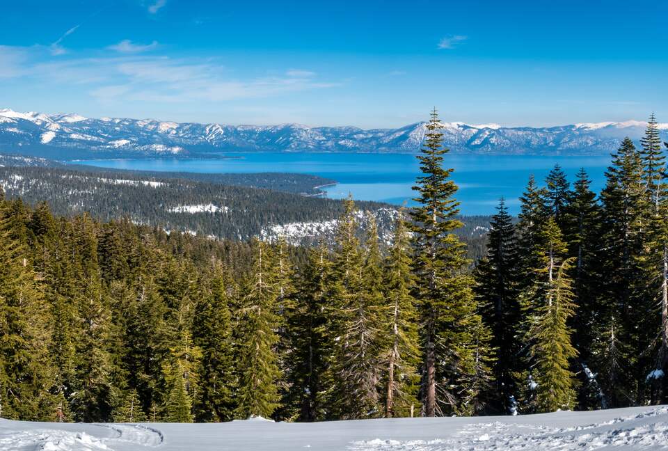 Tahoe Donner Escape - Truckee, California
