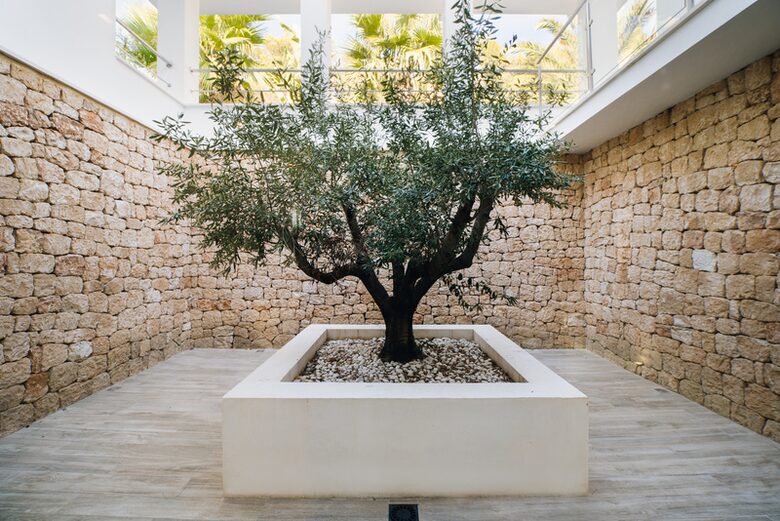 Can Toka (R) - Ibiza, Spain