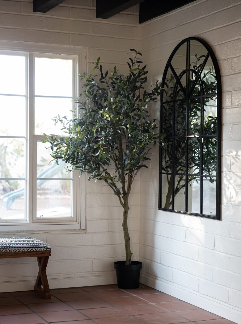 Lemon Grove Family Retreat - Lemon Grove, California