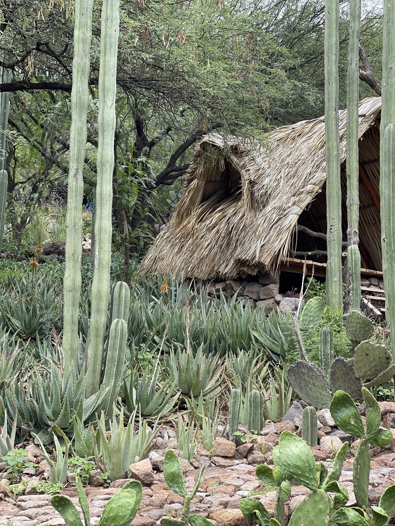 San Miguel Holistic Sanctuary - San Miguel de Allende, Mexico