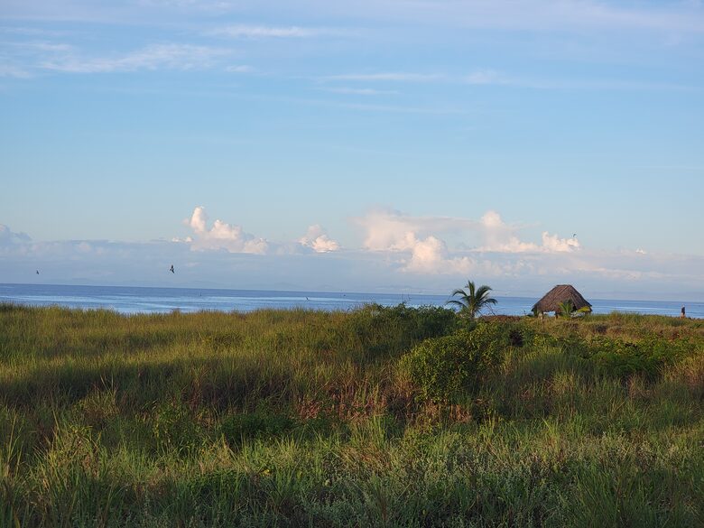 Waters Edge - Alanje, Panama