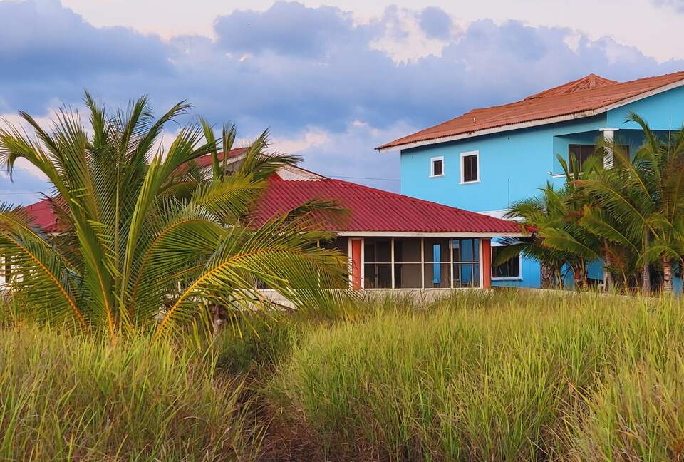 The home is landscaped in nature, right at the primary dune line.