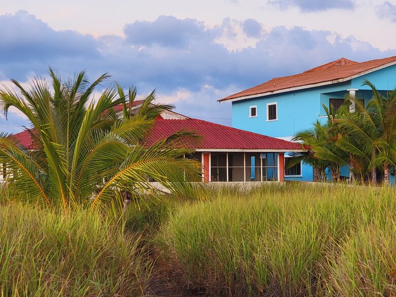 The home is landscaped in nature, right at the primary dune line.