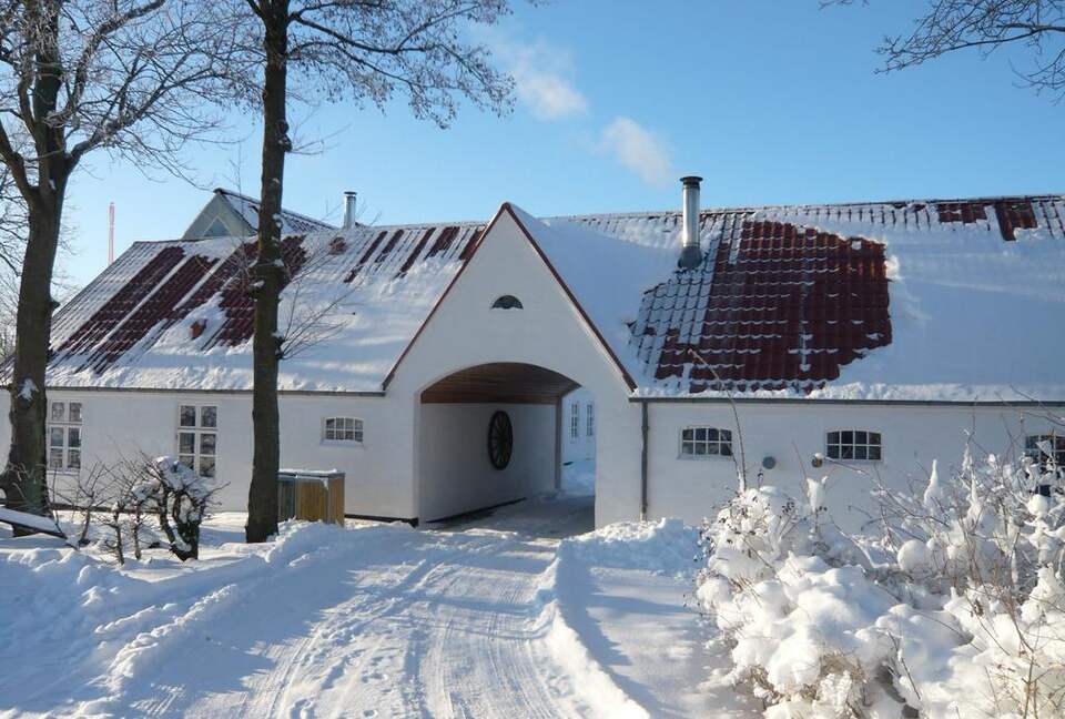 A Real Danish Farm - Nørresundby, Denmark