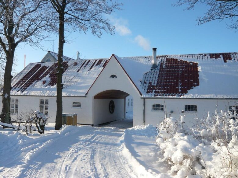 A Real Danish Farm - Nørresundby, Denmark