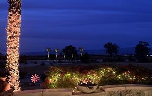 Backyard View