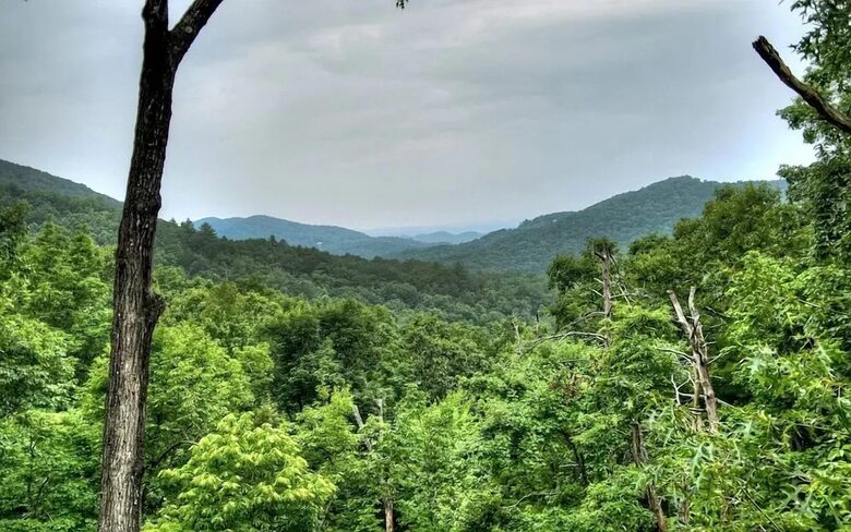 Tupelo Honey - Blue Ridge, Georgia