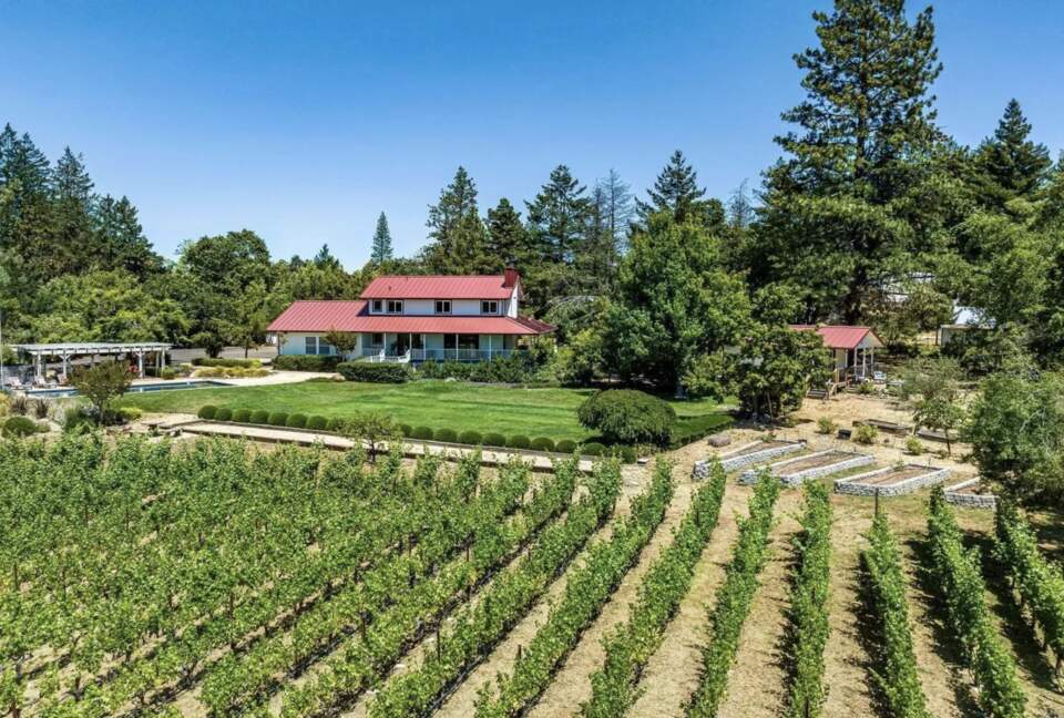 Napa Valley Vineyard Retreat - Angwin, California