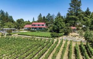 Napa Valley Vineyard Retreat - Angwin, California