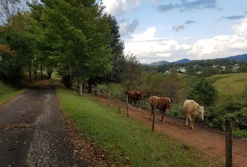 Weaverville farmhouse | 12 Minutes to Downtown Asheville - Weaverville, North Carolina