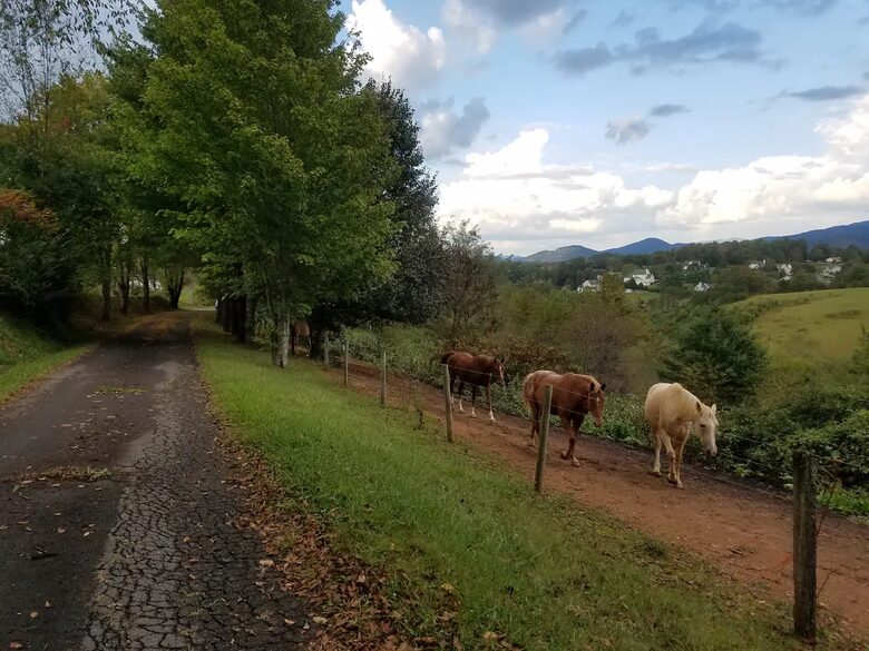 Weaverville farmhouse | 12 Minutes to Downtown Asheville - Weaverville, North Carolina