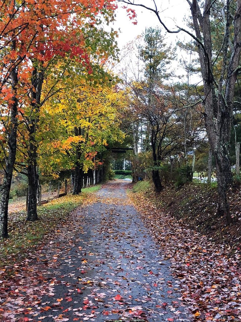 Weaverville farmhouse | 12 Minutes to Downtown Asheville - Weaverville, North Carolina