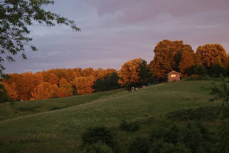 Weaverville farmhouse | 12 Minutes to Downtown Asheville - Weaverville, North Carolina