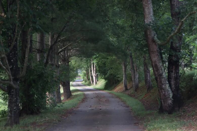 Weaverville farmhouse | 12 Minutes to Downtown Asheville - Weaverville, North Carolina