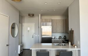 Glamorous & Contemporary Oasis in Brooklyn NY - Brooklyn, New York