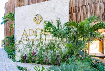 Luxury in the Jungle - Tulum, Mexico