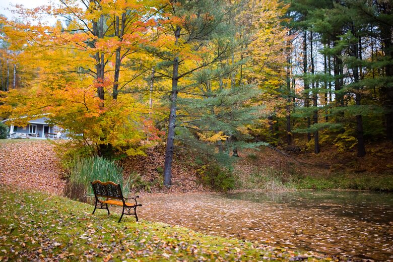 The Rabbit Hole | Luxury Cabin in heart of Stowe - Stowe, Vermont