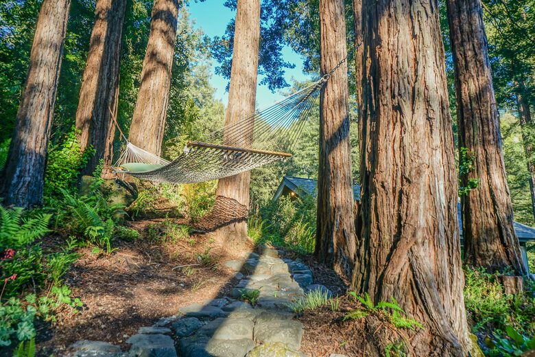 Wine Country Luxury in the Redwoods w/ Hot Tub and Fire Pit - Cazadero, California