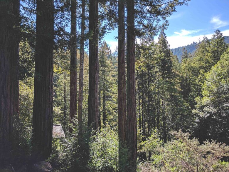 Wine Country Luxury in the Redwoods w/ Hot Tub and Fire Pit - Cazadero, California