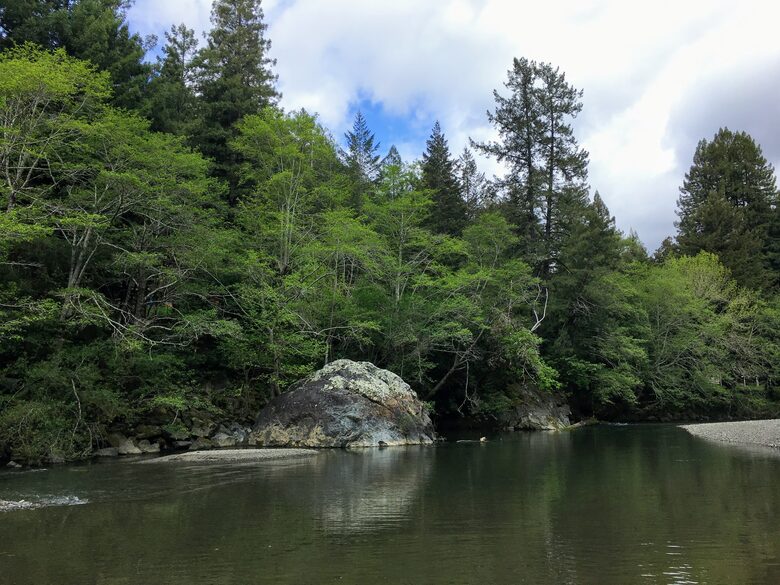Wine Country Luxury in the Redwoods w/ Hot Tub and Fire Pit - Cazadero, California