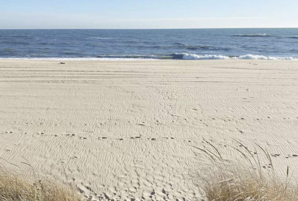 Hither Hills Designer Retreat - Montauk, New York