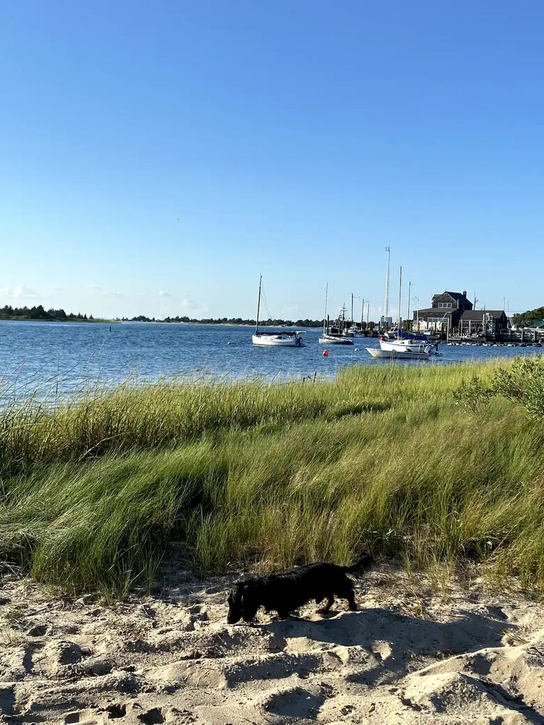 East Hampton Seaside Cottage - East Hampton, New York