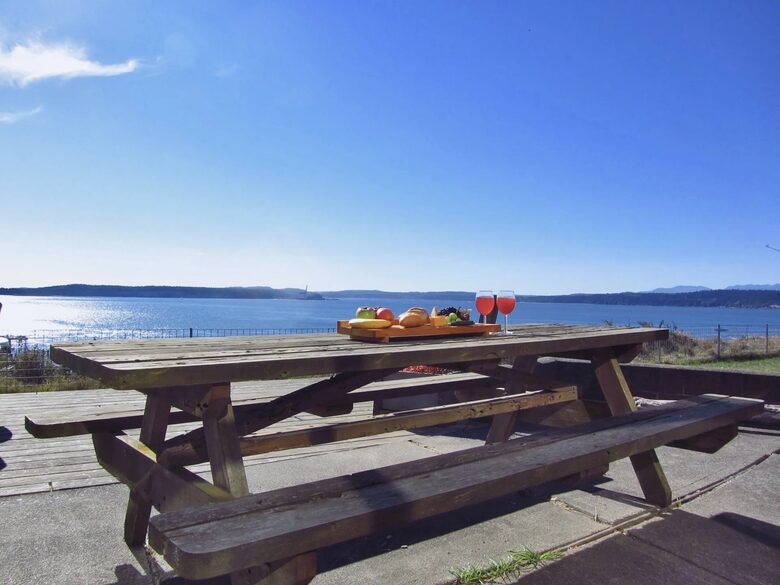 Midcentury Modern Dream Over Port Townsend - Port Townsend, Washington