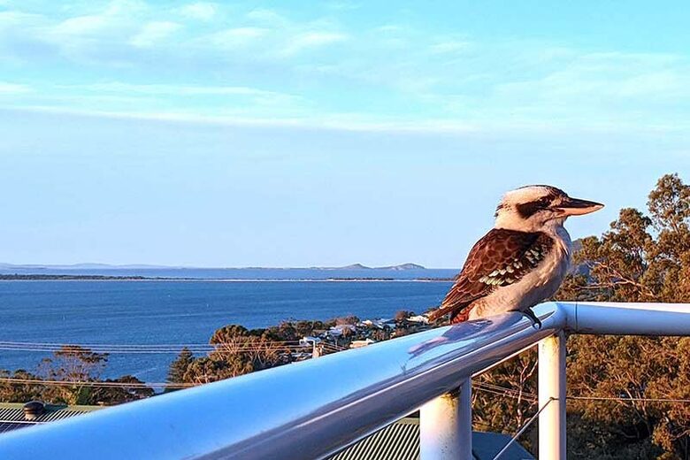 Pacific Waters | Port Stephens - Nelson Bay, Australia