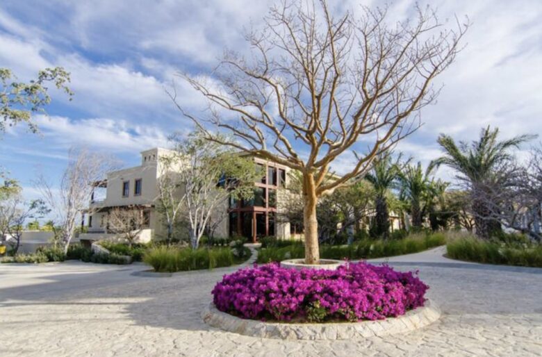 Casa Cobra - San Jose del Cabo, Mexico