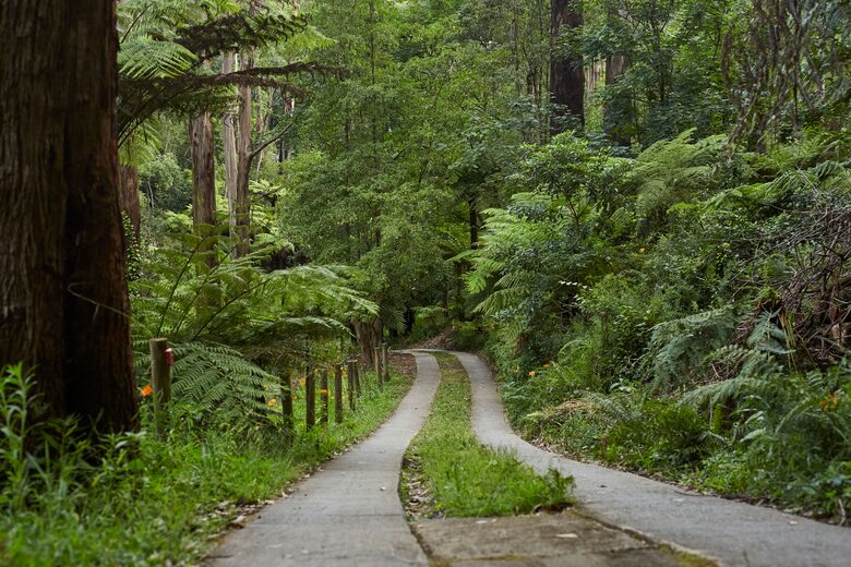 The Grand Lodge | Fernglen Forest Retreat - Mount Dandenong, Australia