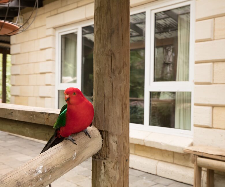 The Grand Lodge | Fernglen Forest Retreat - Mount Dandenong, Australia