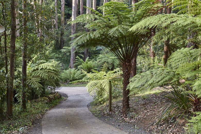 The Grand Lodge | Fernglen Forest Retreat - Mount Dandenong, Australia