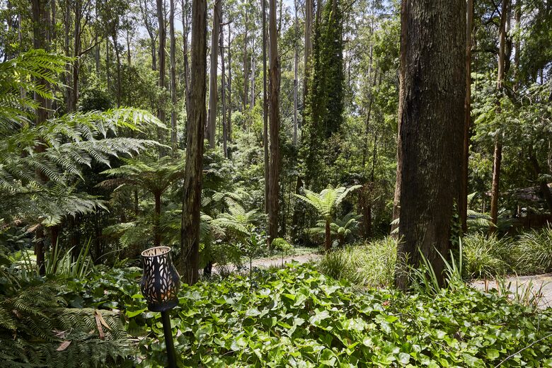 The Grand Lodge | Fernglen Forest Retreat - Mount Dandenong, Australia