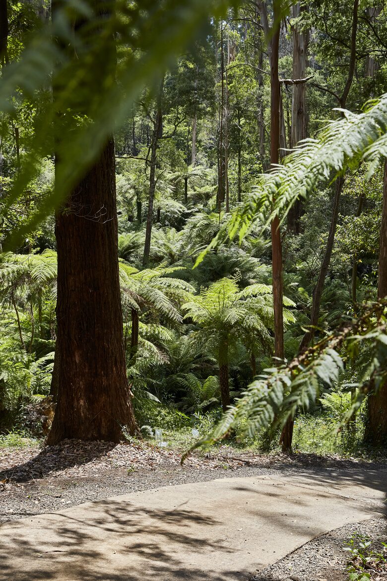 The Grand Lodge | Fernglen Forest Retreat - Mount Dandenong, Australia