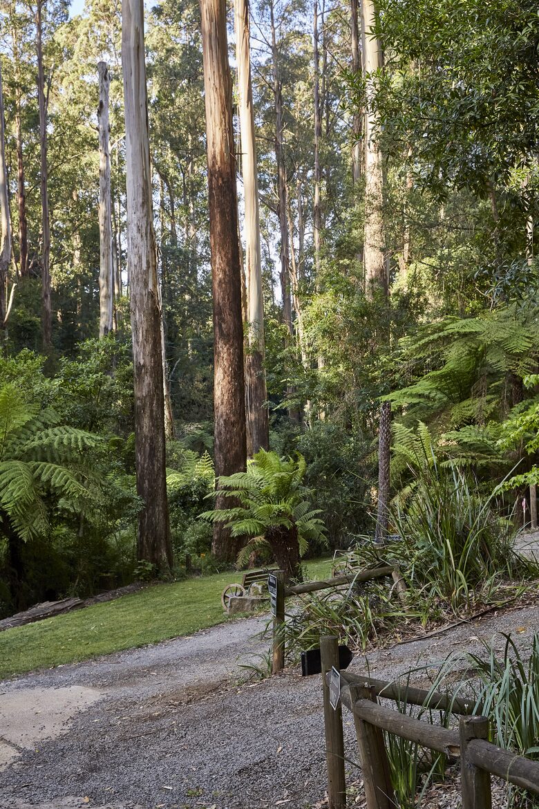 The Grand Lodge | Fernglen Forest Retreat - Mount Dandenong, Australia