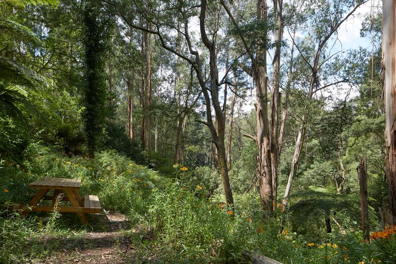 The Grand Lodge | Fernglen Forest Retreat - Mount Dandenong, Australia
