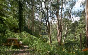 The Grand Lodge | Fernglen Forest Retreat - Mount Dandenong, Australia