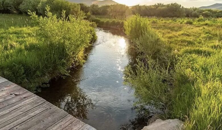 Year-round creek on property
