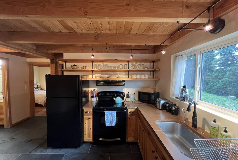 Private Ski Cabin 15 Minutes from Breckenridge - Alma, Colorado