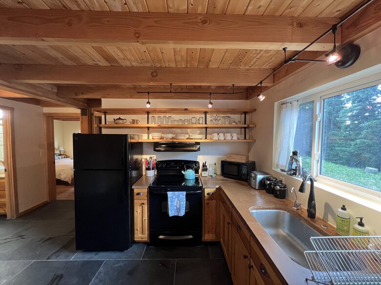 Private Ski Cabin 15 Minutes from Breckenridge - Alma, Colorado